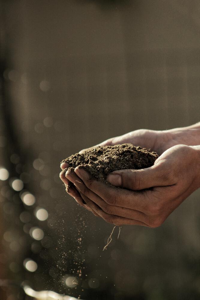 Handful of Soil