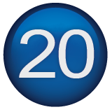 20 Year Anniversary Badge