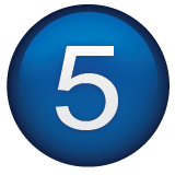 5 Year Anniversary Badge