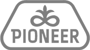 Pioneer