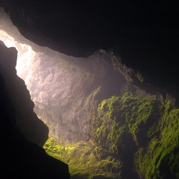 A look into a cave with a narrow opening that unearths a light-filled, green cavern.